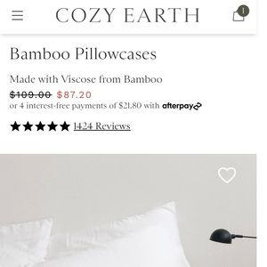 Cozy Earth NEW Bamboo King Pillowcases Set of 2, White